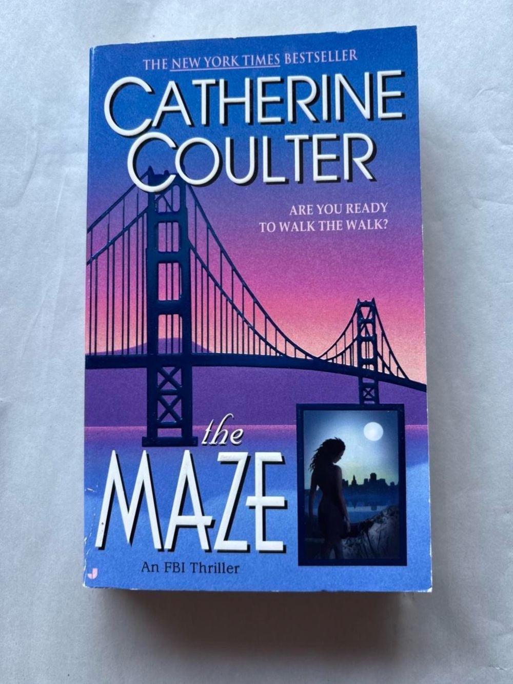 The Maze by Catherine Coulter